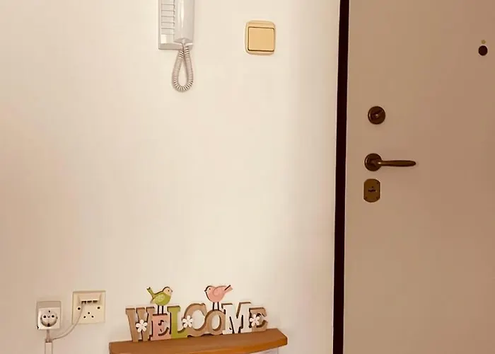 Centre No44 * Спліт